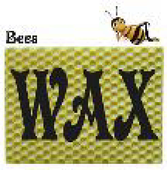 Wax - Bee's Wax (Master Wax)