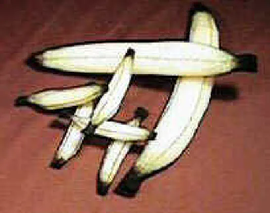 The World Famous BANANA Trick - Dan Garret