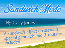 Sandwich Mixto