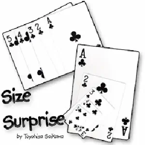 Size Surprise