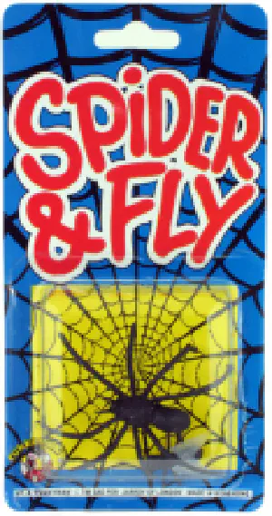 Spider & the Fly