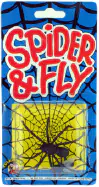 Spider & the Fly