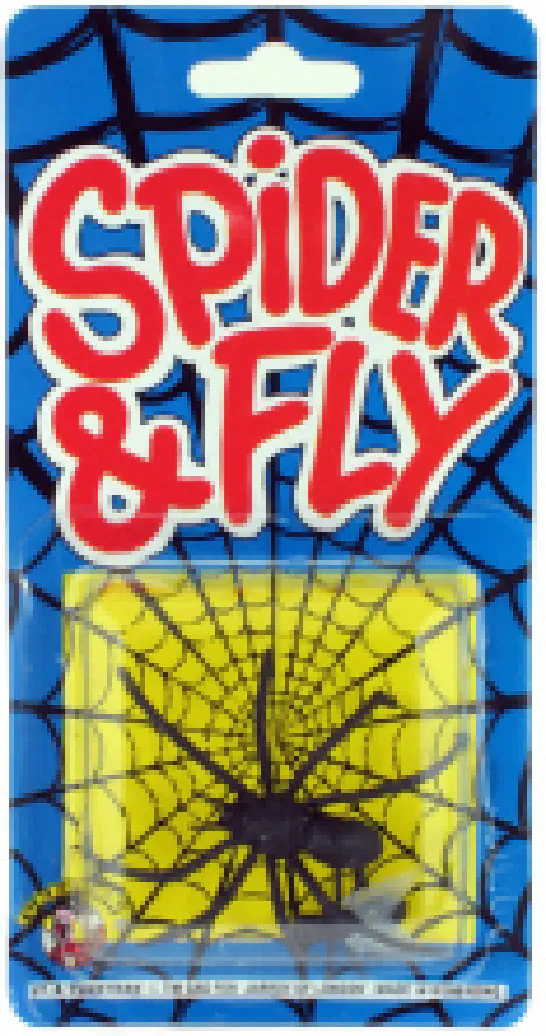 Spider & the Fly