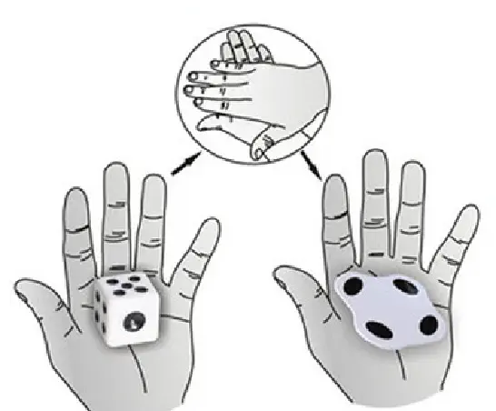 Splat Dice